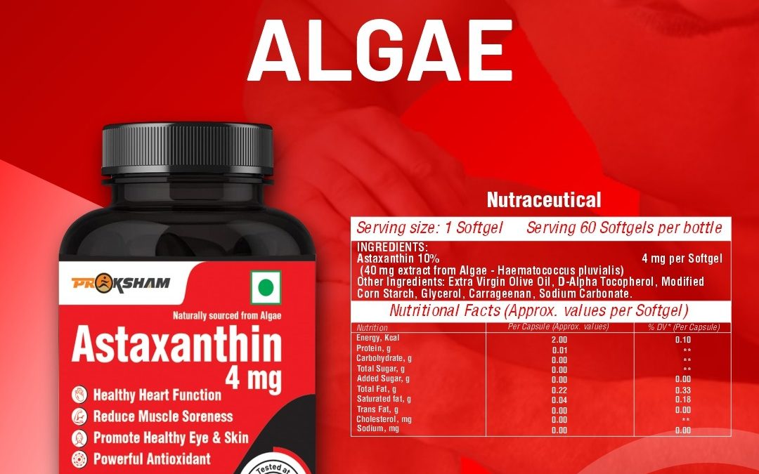 Protein – a dietary supplement